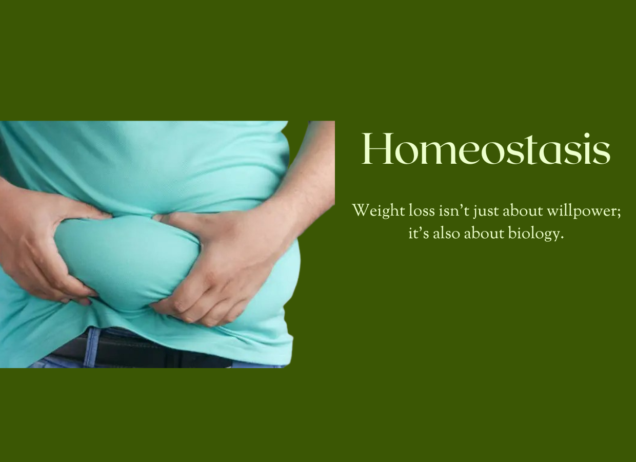 Homeostasis: Why You Are Struggling to Keep Off Weight