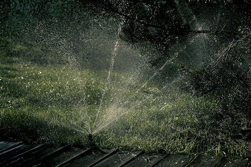 Tell-Tale Signs Your Sprinkler System Needs Immediate Repair